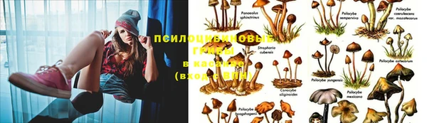 мдма Карпинск